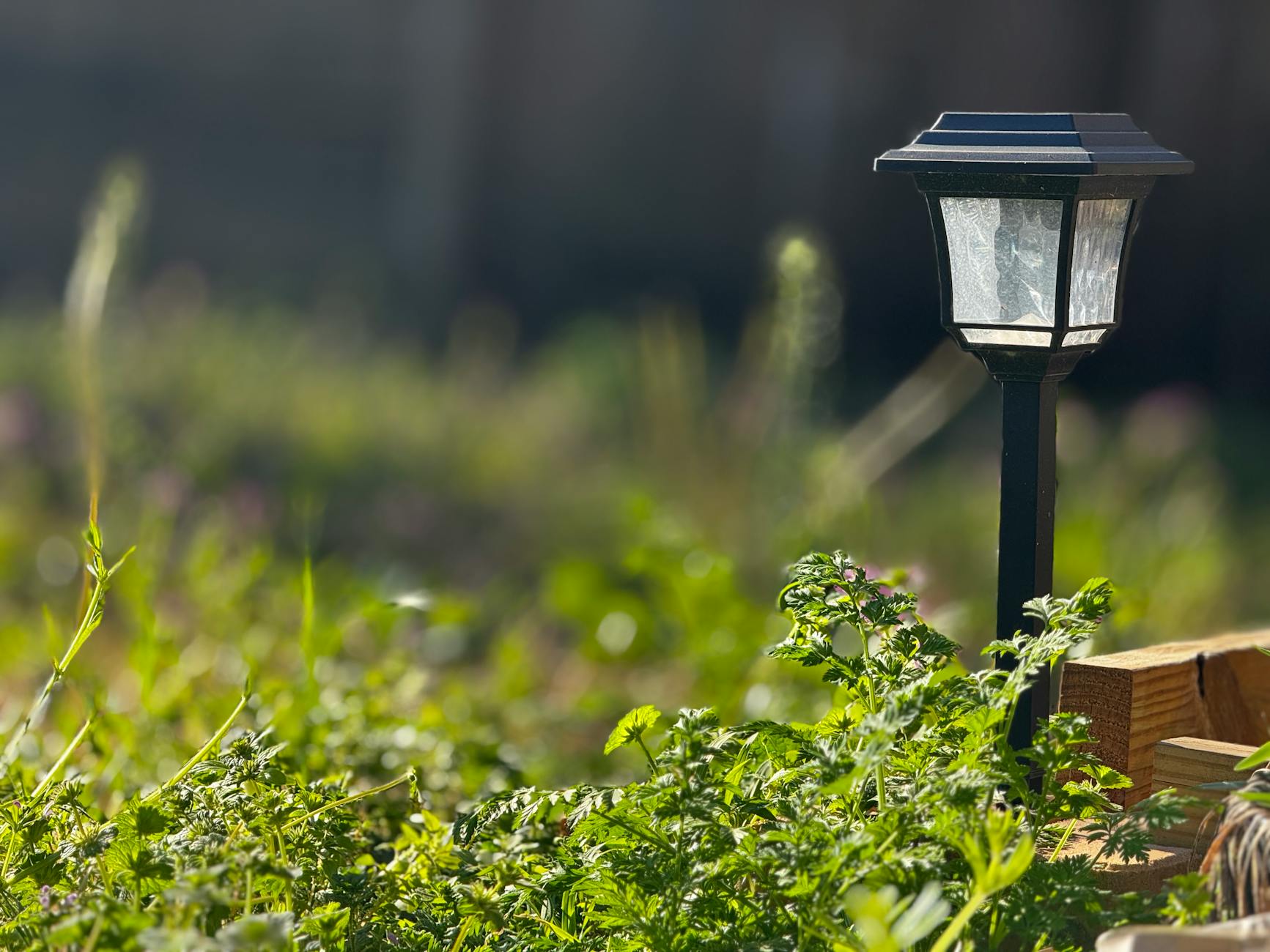 Lampa solarna wśród bujnej wiosennej zieleni w ogrodzie