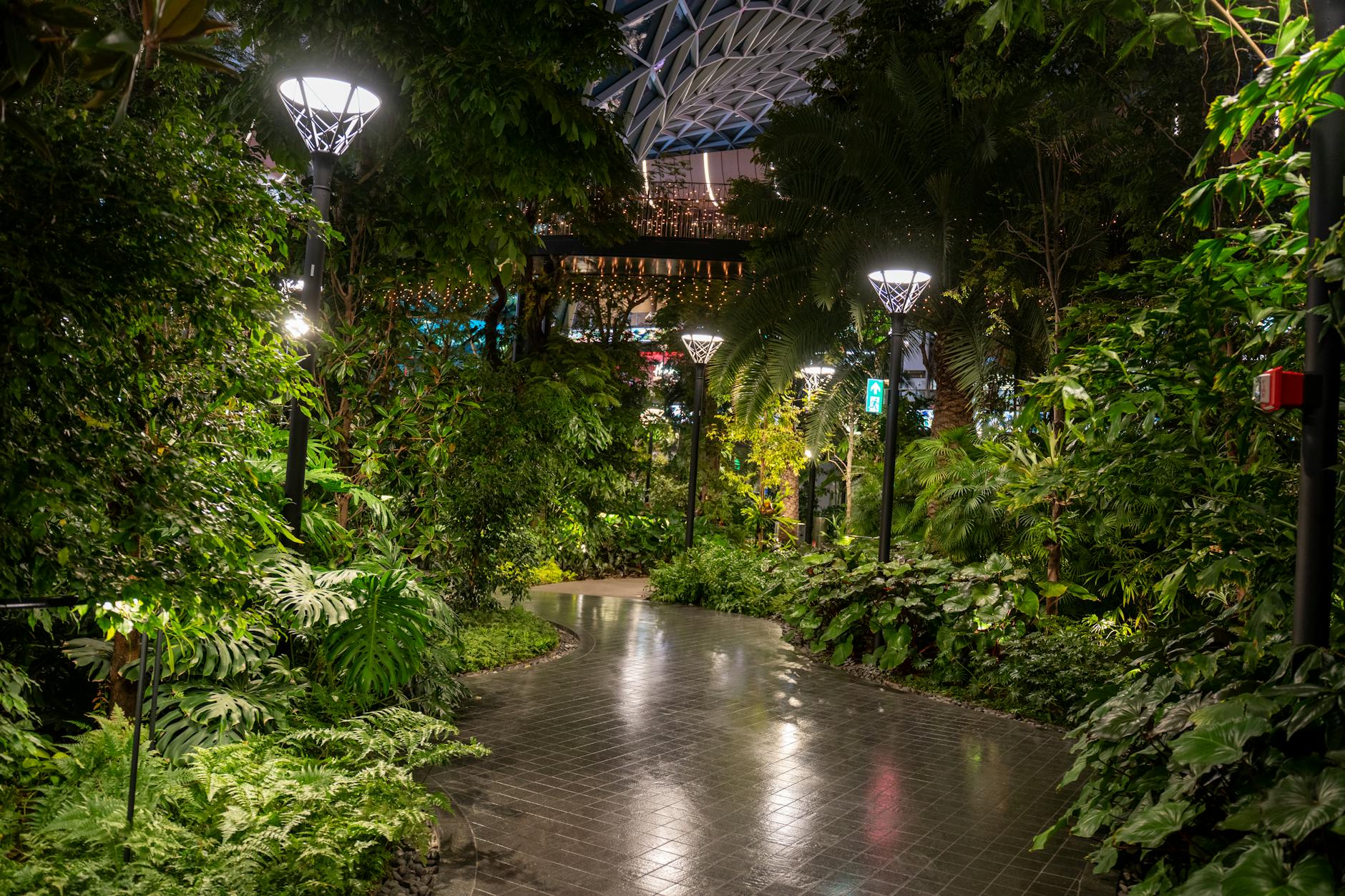 Oświetlona ścieżka w tropikalnym ogrodzie zimowym z bujną roślinnością