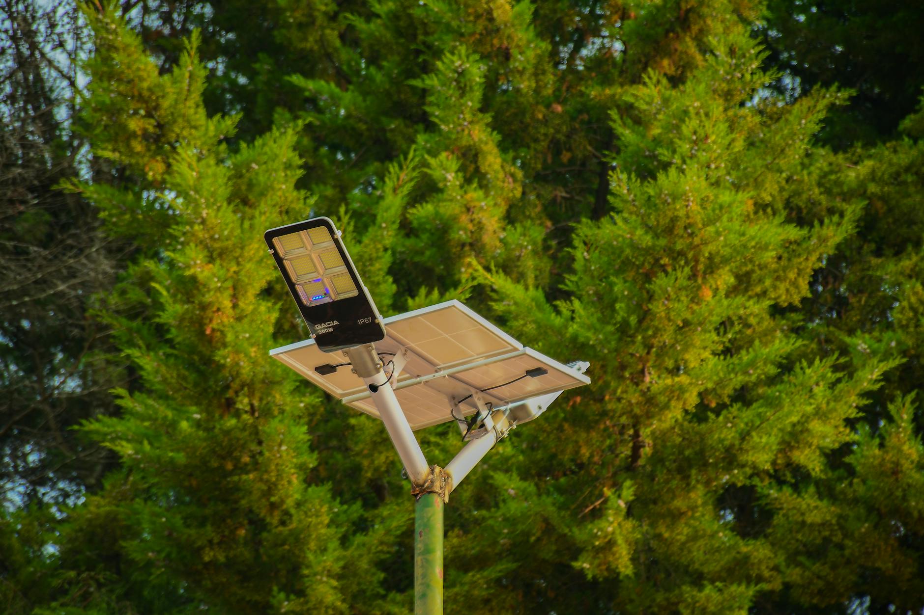 Solarny kinkiet ogrodowy na tle gęstych zielonych iglaków