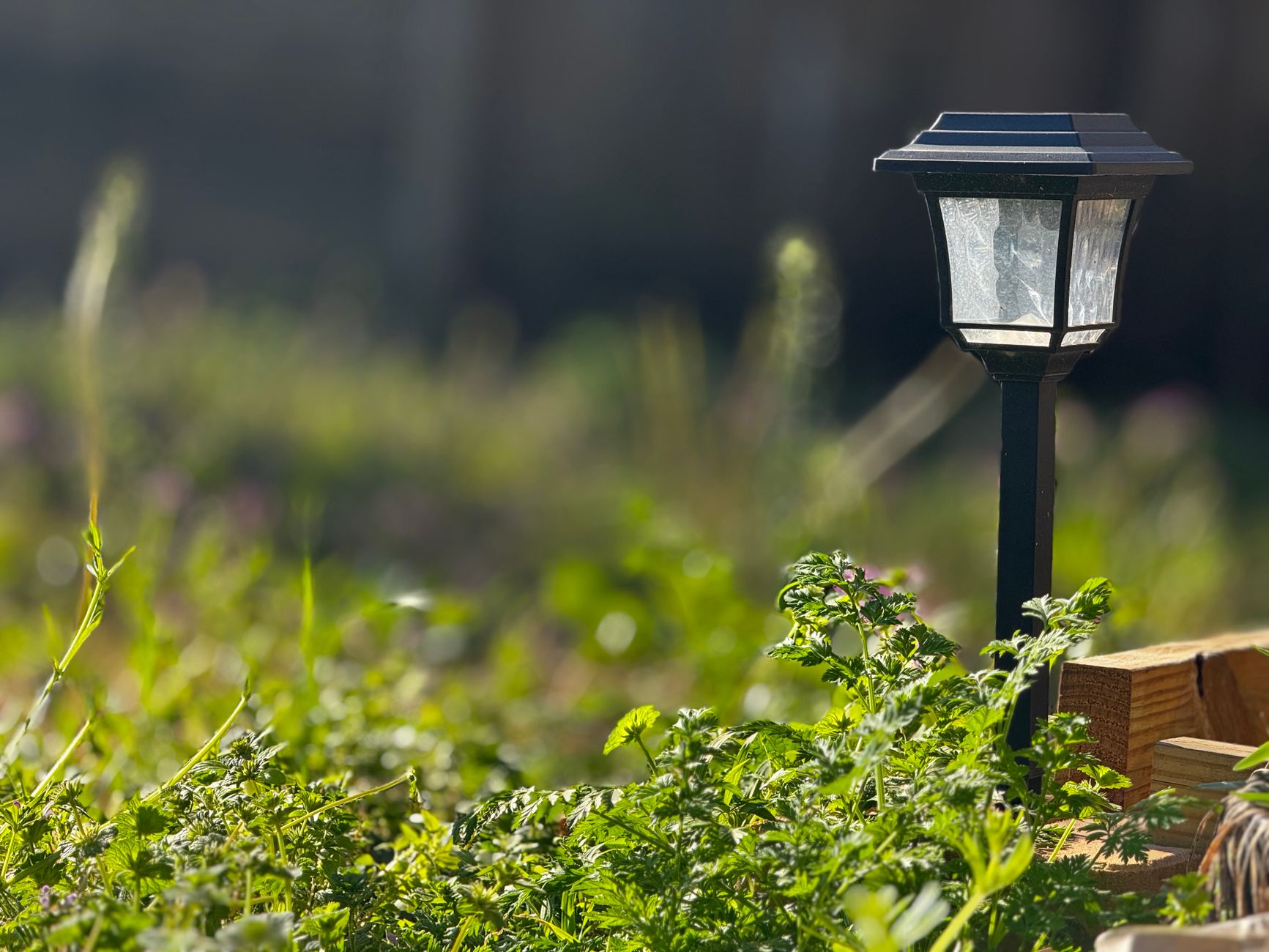 Solarna lampa ogrodowa wśród zieleni w wiosennym ogrodzie